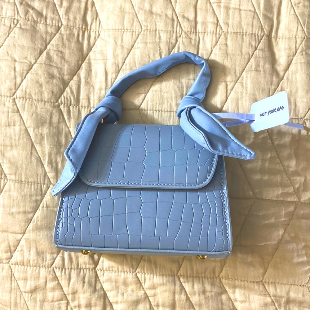 Powder blue clutch